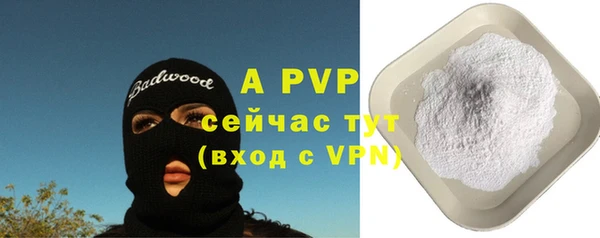 стафф Ростов